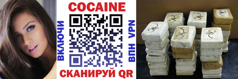 Купить закладки  Чебоксары  Cocaine Fish Scale