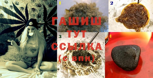 индика Нефтегорск