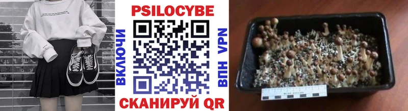 Купить закладки  Чебоксары  Псилоцибиновые грибы ЛСД 